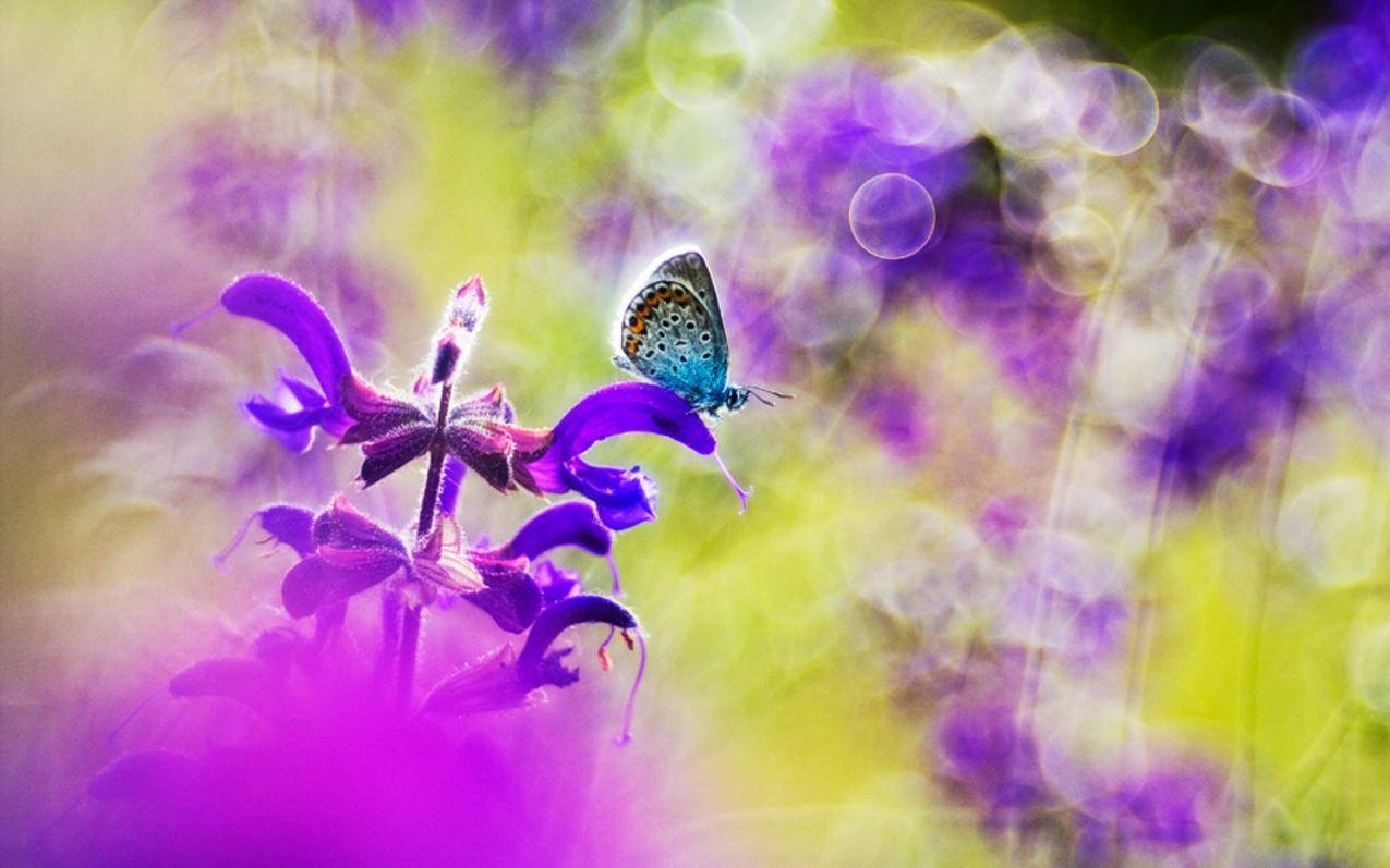 如何申请微信邮箱免费注册邮箱_如何申请微信邮箱免费注册邮箱账号 - gmail相关 - 55dz账号网