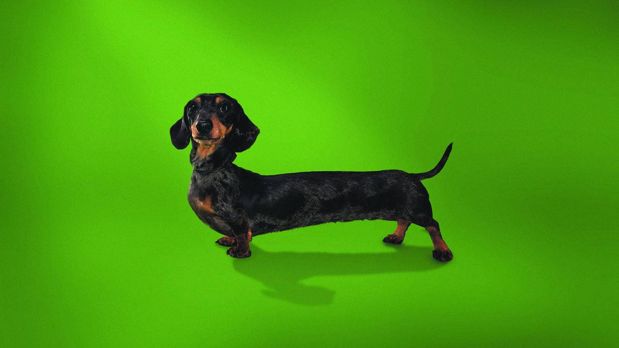 苹果id怎么创建新id_苹果怎样创建新ID - 各区苹果ID - 55dz账号网