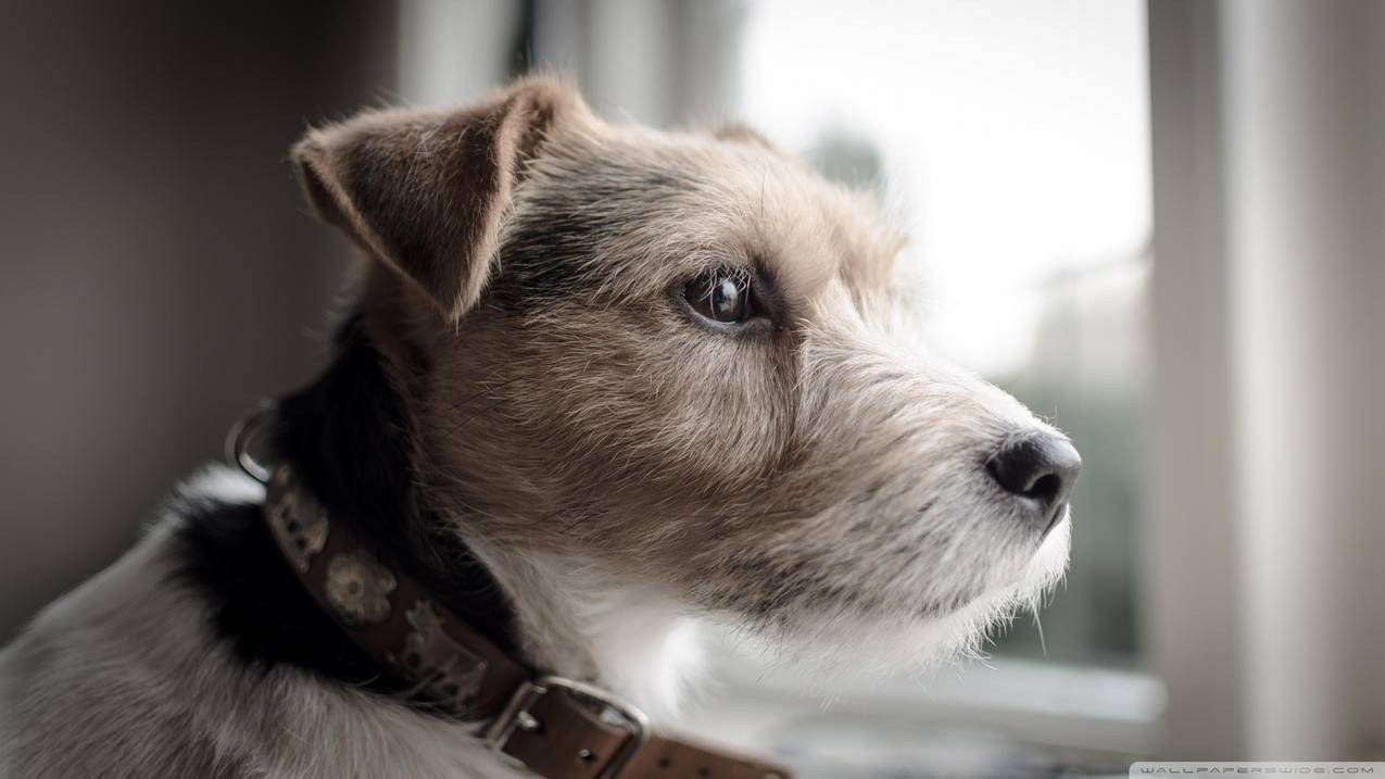 香港苹果id充值怎么取消退款申请_苹果id充值如何退款 - 香港苹果ID - 55dz账号网