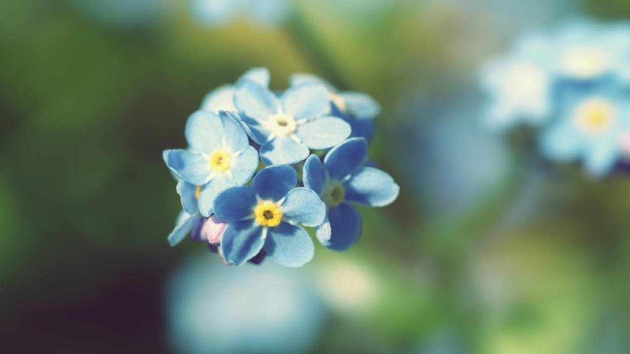 美服苹果id付款记录怎么删除_美服苹果id付款记录怎么删除掉 - 美国苹果ID - 55dz账号网