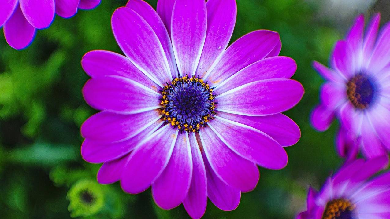 老款捷达油管在哪里_老款捷达油管在哪里拆 - youtube相关 - 55dz账号网