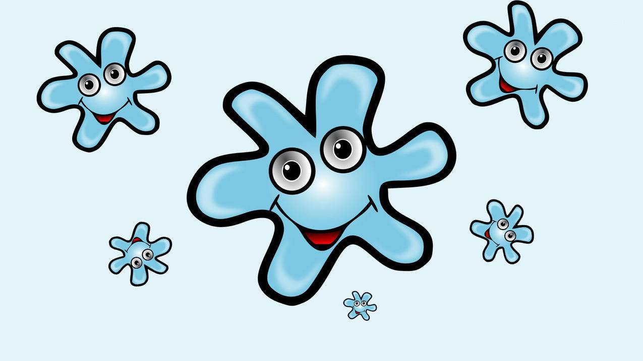 2021韩区id注册教程（韩国id账号2021） - 韩国苹果id - 55dz账号网