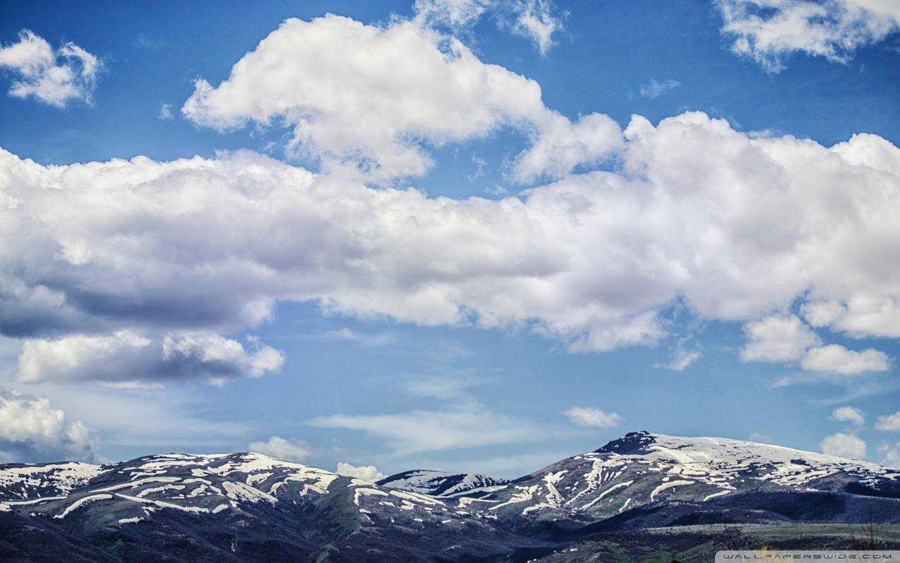 tiktok三种投放策略_tiktok投放平台 - 苹果APP下载 - 55dz账号网