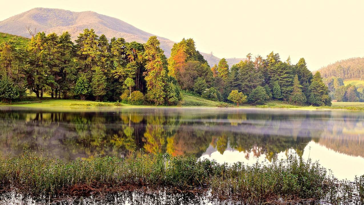 facebook西雅图总部位于_facebook加拿大总部 - facebook相关 - 55dz账号网