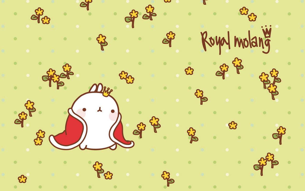 微信小程序怎么看ins_微信小程序怎么看数据 - INS相关 - 55dz账号网