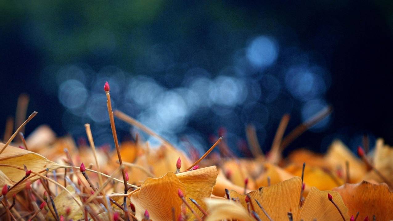 为什么香港苹果id已被锁定_为什么香港苹果id已被锁定了 - 香港苹果ID - 55dz账号网