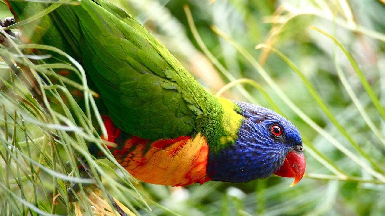 初中生如何有效读数学题目？ - 初中教育 - ks24小时自助