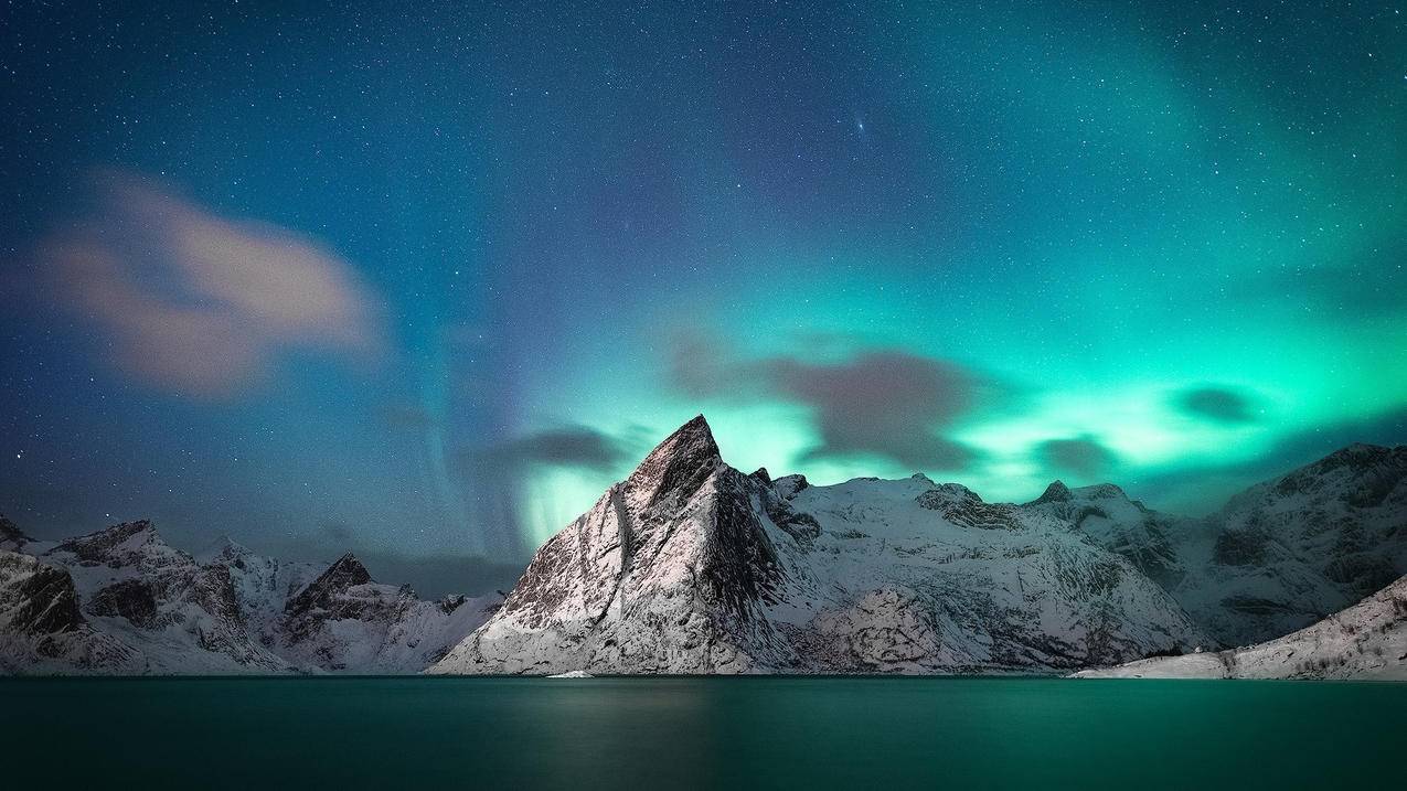 tiktok开户多少钱_TikTok开户 - 苹果APP下载 - 55dz账号网