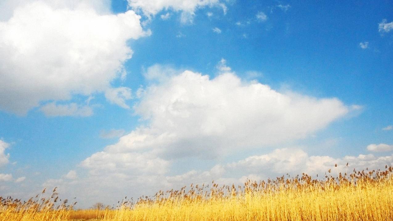 qq刷赞冷陌 - 在线秒刷快手50双击网站,51卡盟官网平台