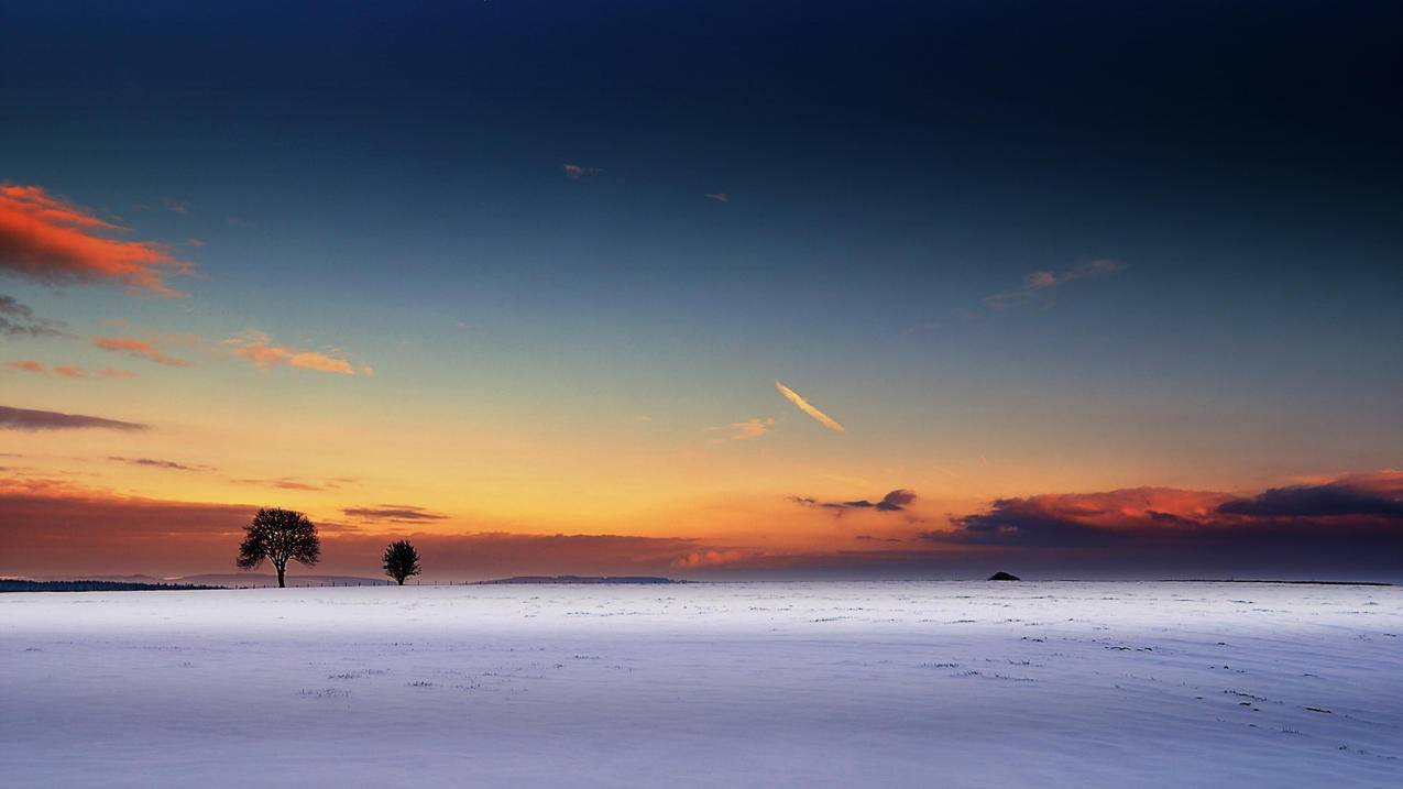 facebook的应用_FACEBOOK app - facebook相关 - 55dz账号网