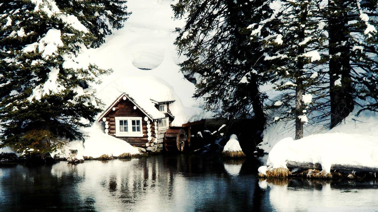 美国认证之FCC认证 - Apple ID相关 - 55dz账号网