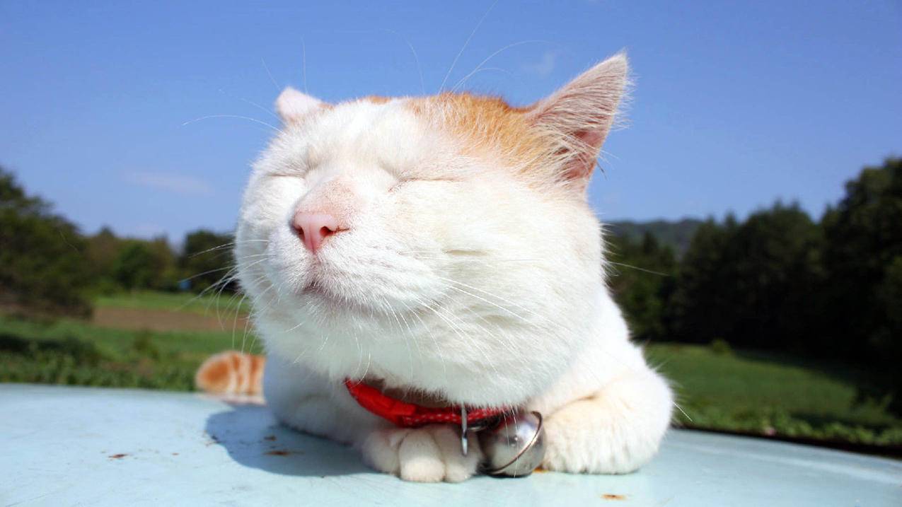 小火箭rocket_小火箭rocket邀请码 - 注册外服方法 - 55dz账号网