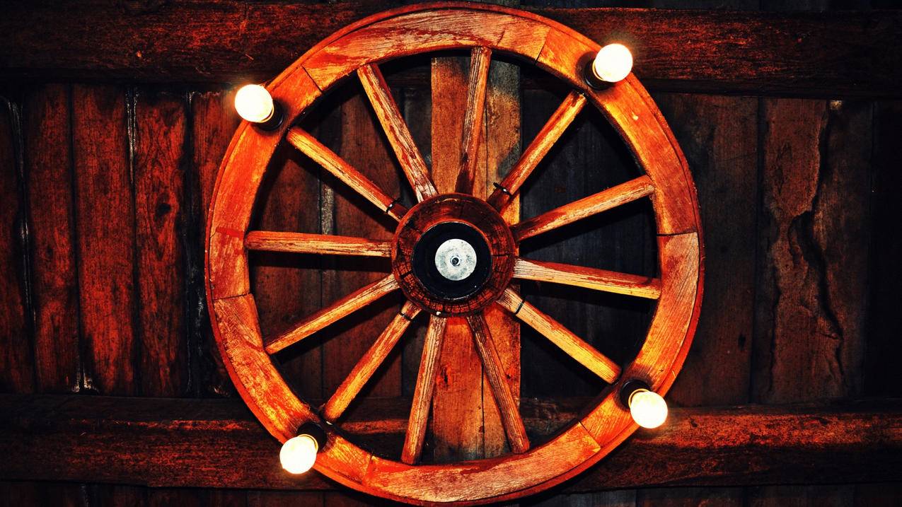 tiktok国际版App下载_tiktok国际版官方网站下载 - tiktok相关 - 55dz账号网