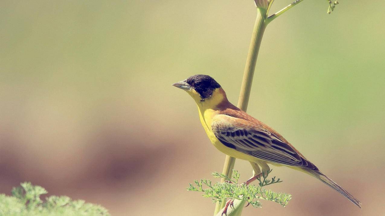 越南苹果id充值的钱能退吗 - 各区苹果ID - 55dz账号网