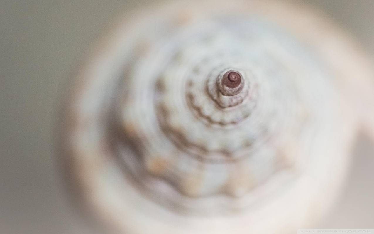 nba2kol2用手柄还是键盘好_nba2kol2用什么键盘好 - IOS分享 - 55dz账号网