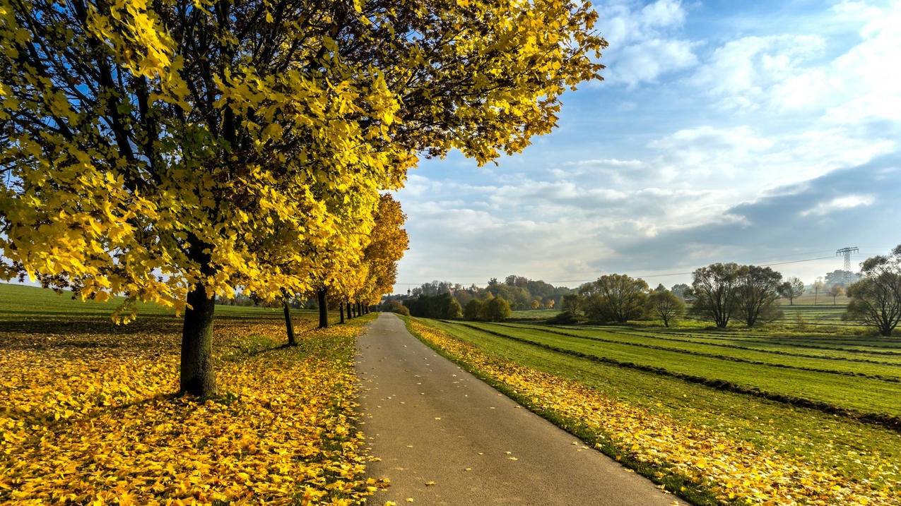 发布任务给别人做的平台 - 快手刷赞平台一元,草莓网快手刷,手机qq刷赞刷评论刷留言