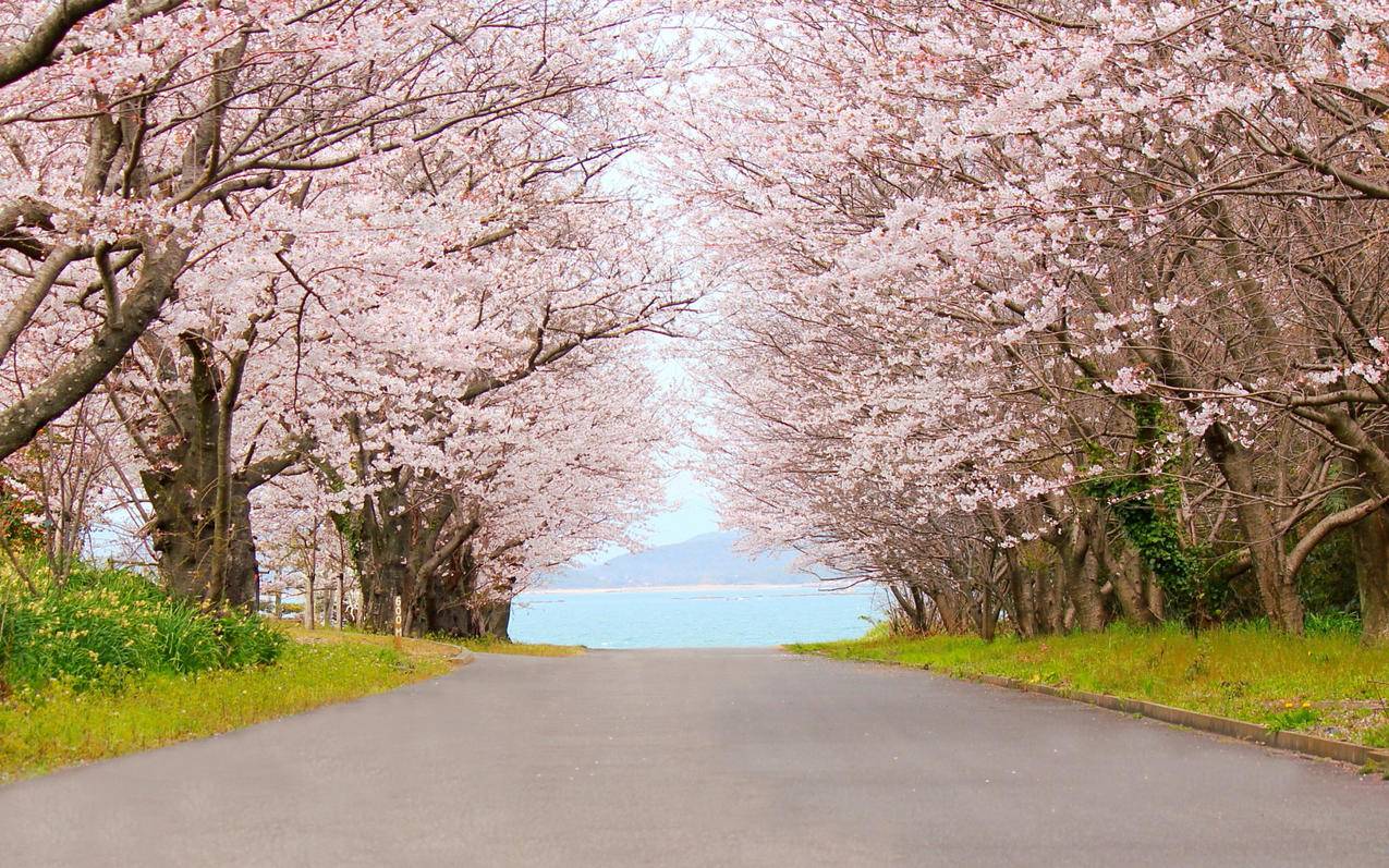 怎么查看我的台湾appleid是否被其他设备登陆_苹果id登录设备怎么看 - 台湾苹果ID - 55dz账号网