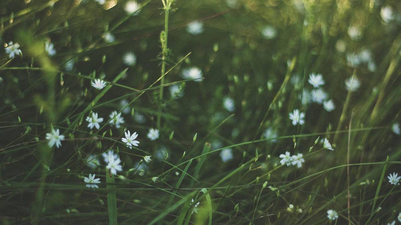 nba2k22电脑怎么做动作_NBA2k22操作 - IOS分享 - 55dz账号网