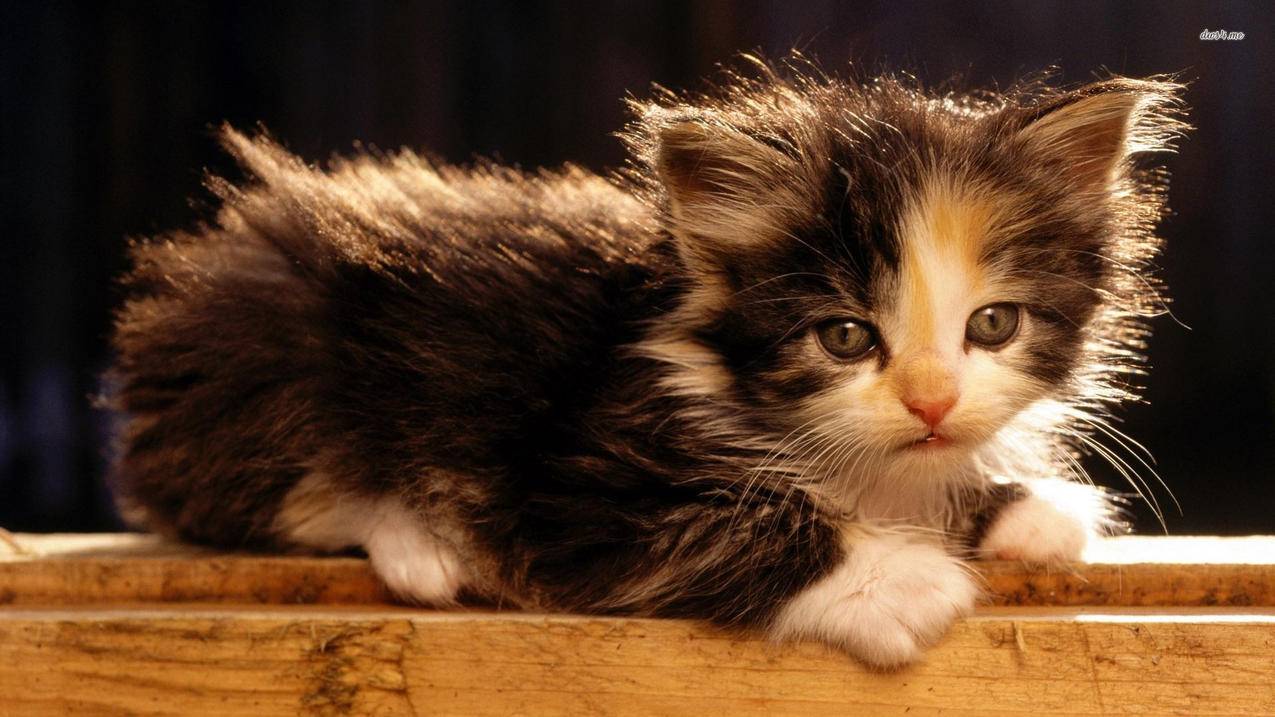 新疆节点_新疆交通枢纽 - 注册外服方法 - 55dz账号网