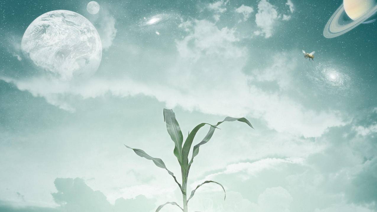 千川如何算流量成本？ - ks自助下单 - ks业务下单