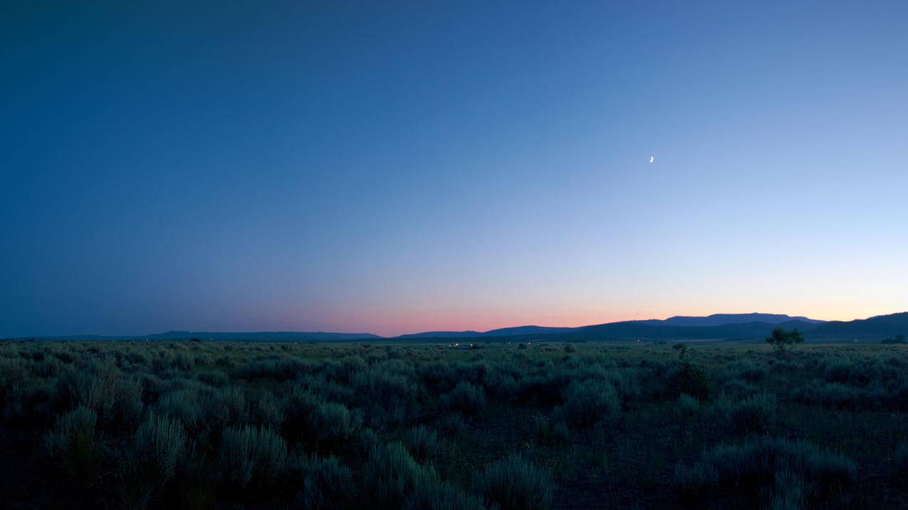 nikeairzoompegasus37适合长跑吗_nike air zoom pegasus37适合跑步吗 - zoom相关 - 55dz账号网