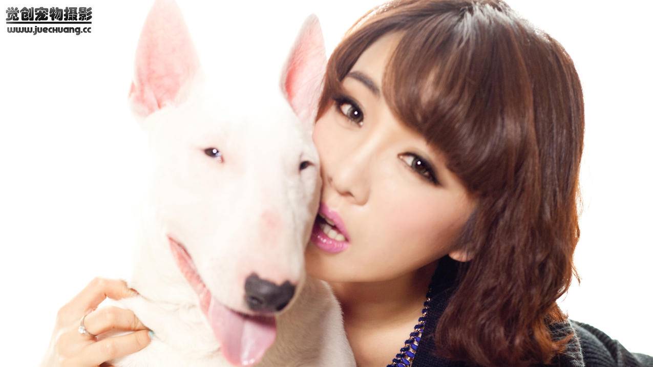 油管3000万播放量_油管上一千万播放量算多吗 - youtube相关 - 55dz账号网