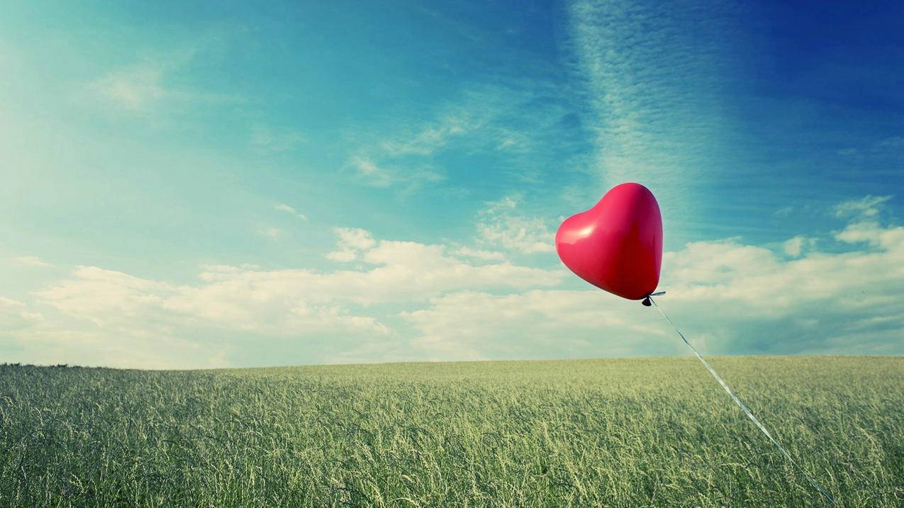 油管线是什么颜色的_油管线是什么颜色的图片 - youtube相关 - 55dz账号网