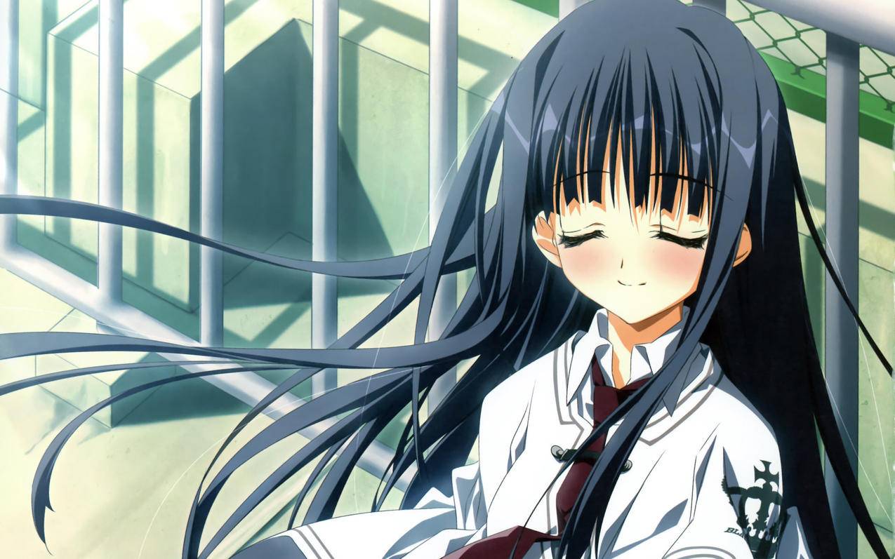 能上推特的免费加速器_twitter加速器免费 - tw相关 - 55dz账号网