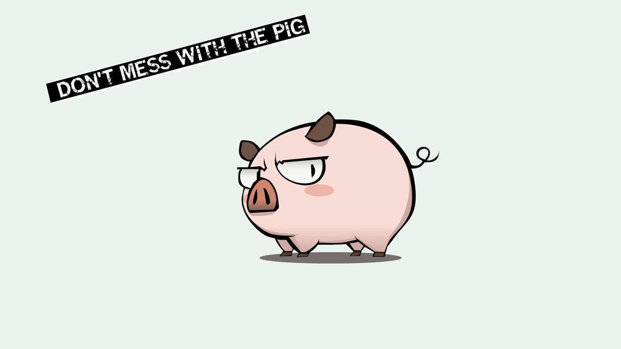 notability怎么填充圆环_notability可以画圆吗 - IOS分享 - 55dz账号网