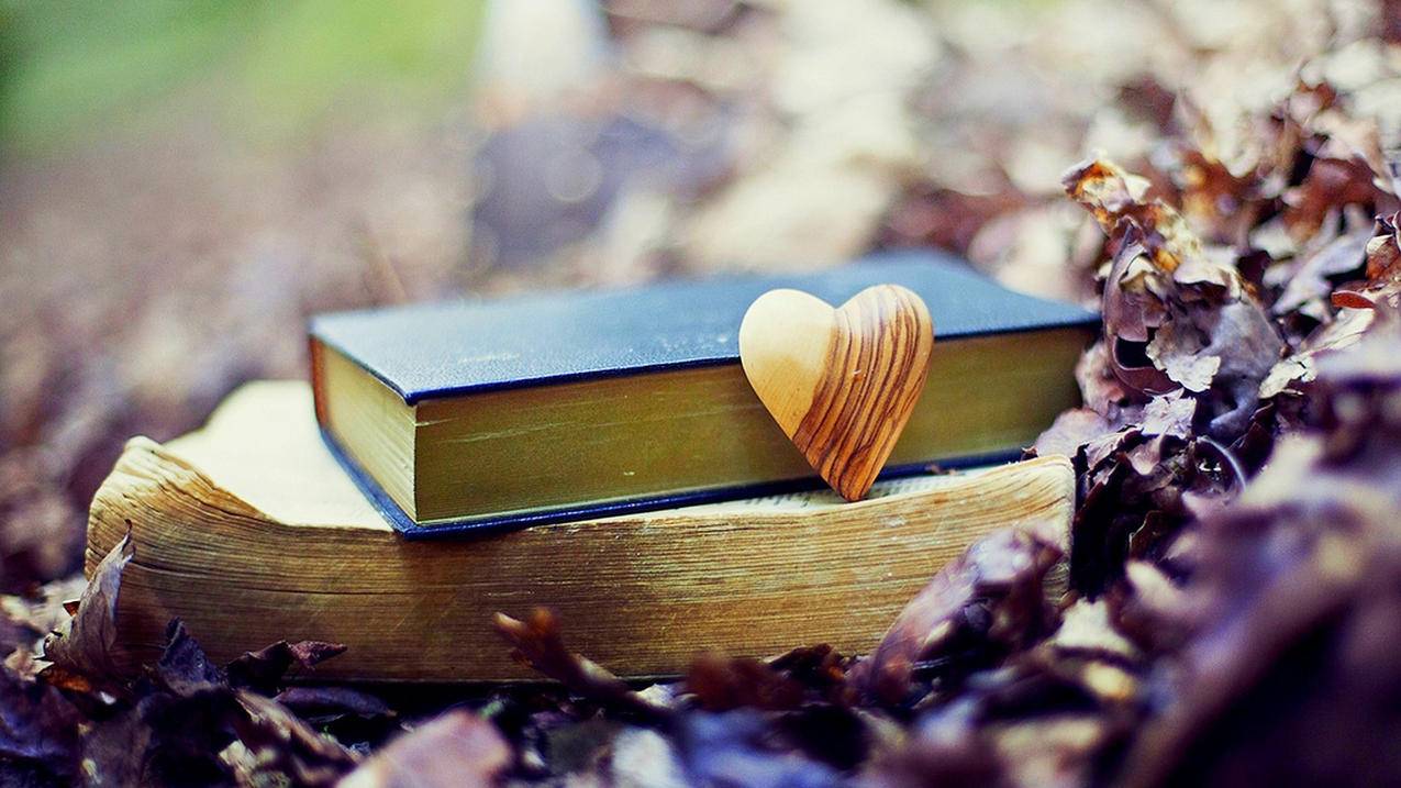 快手业务24小时在线低价，快手业务真的提供24小时在线低价服务吗？ - dy24h自助 - ks24小时自助