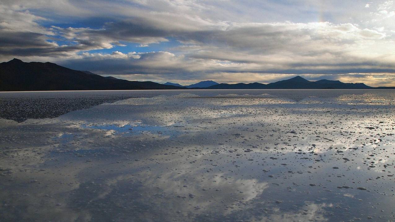 油管视频怎么翻译中文字幕_油管视频翻译成中文字幕 - youtube相关 - 55dz账号网