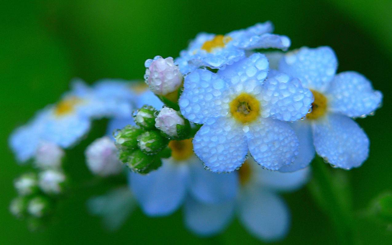 nba2konline2几突是什么意思_nba2k online 2几突 - Line相关 - 55dz账号网