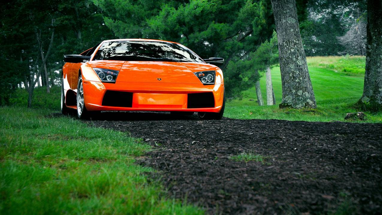 为什么创建appleid出生日期无效_创建appleid 出生日期无效 - Apple ID相关 - 55dz账号网