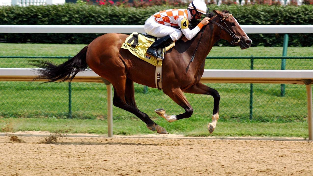 代刷网免费领名片赞-小熊业务代刷低价