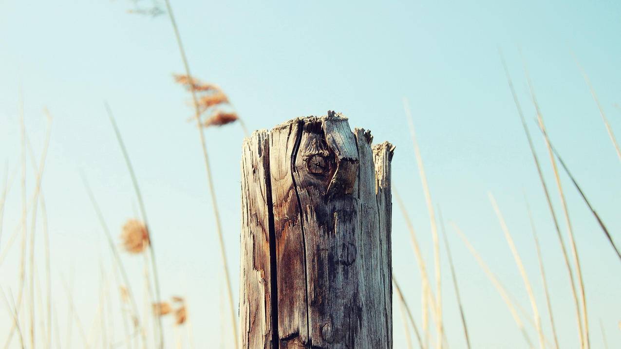 快手业务下单全网最便宜 - qq空间说说真人评论在线平台,免费领说说赞网址,有赞会员系统