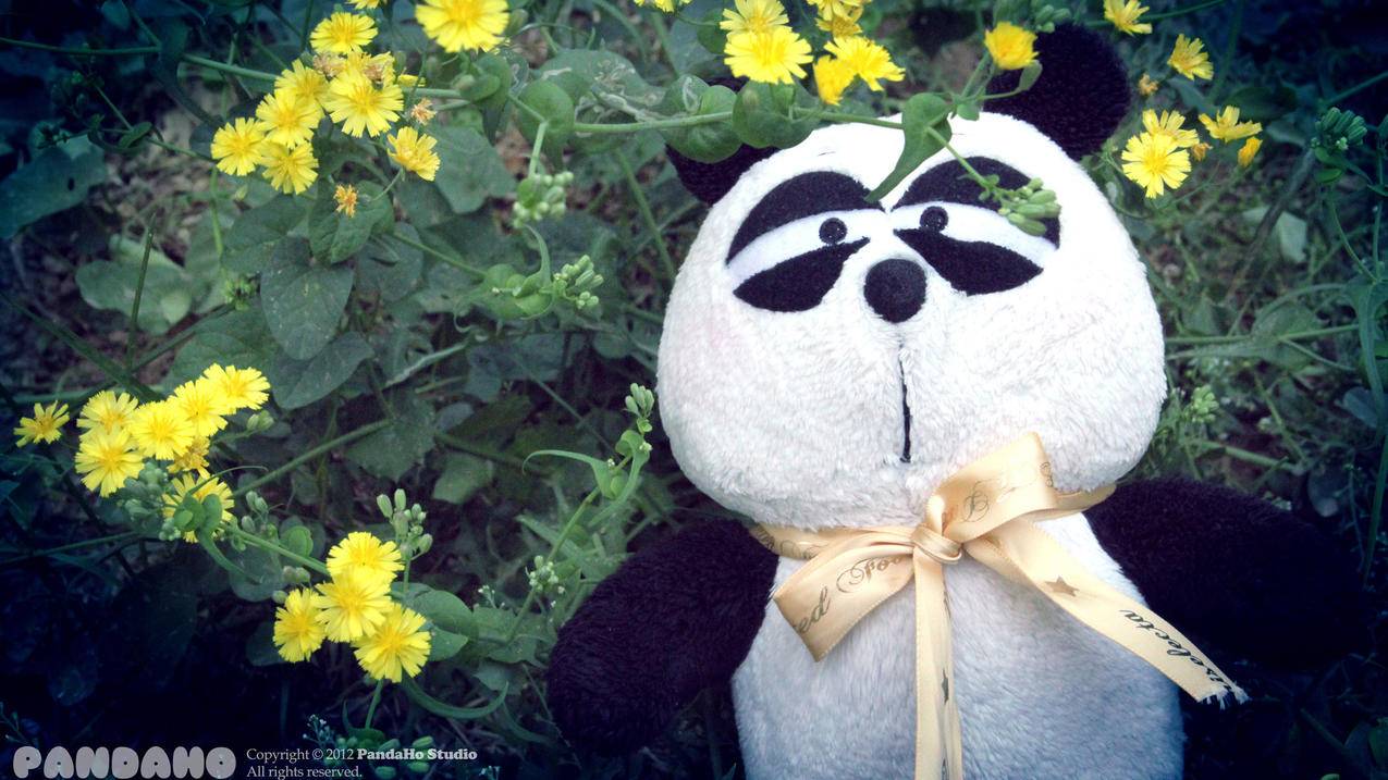 投票帮刷投票软件-快手刷赞刷浏览最低价,qq点赞刷赞免费,花心低价qq刷空间说说赞,卡盟网581