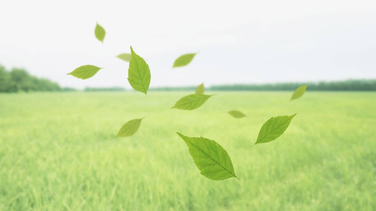 苹果电脑菲律宾apple id怎么注册不了（苹果电脑菲律宾apple id怎么注册不了了） - 各区苹果ID - 55dz账号网