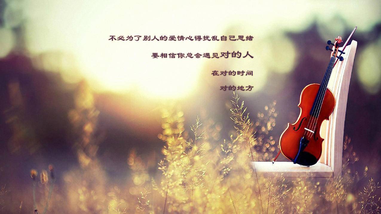 appleid密码一般是什么格式_apple id密码格式是什么 - Apple ID相关 - 55dz账号网