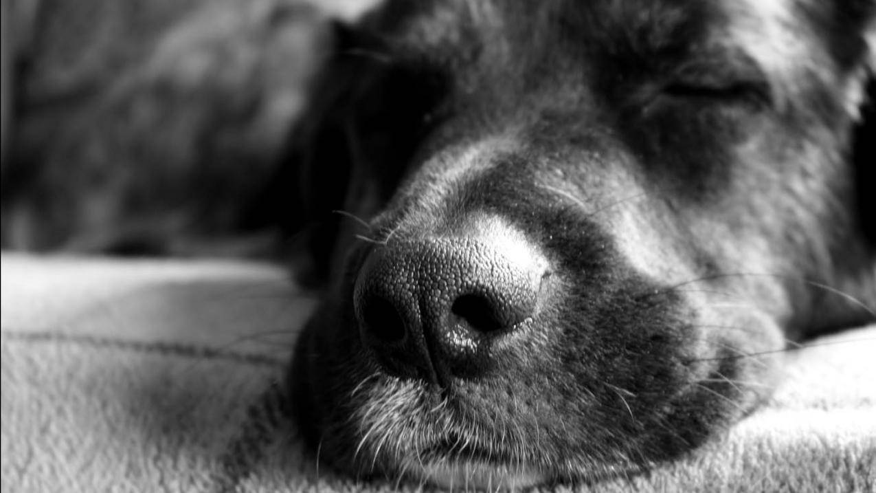 小火箭请求超时_小火箭加速器超时 - 注册外服方法 - 55dz账号网