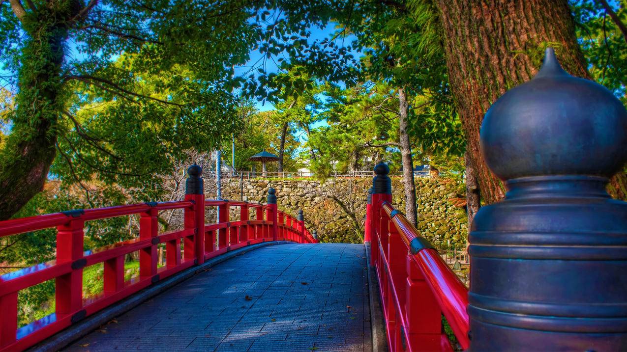 facebook注册账号申请手机_手机注册facebook账号方法 - facebook相关 - 55dz账号网