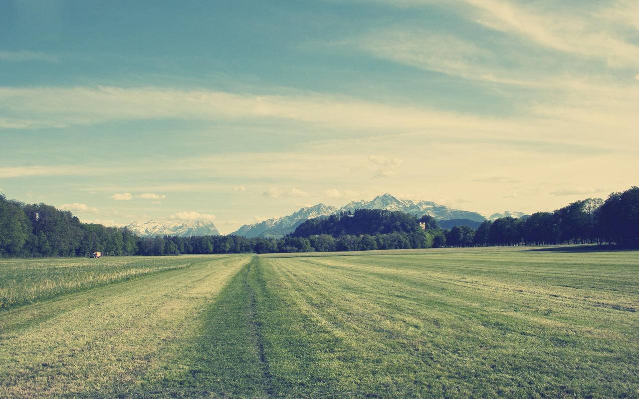 苹果手机怎么关闭共享相簿功能 ， 用同一个苹果id怎么关掉共享  - 55dz账号网