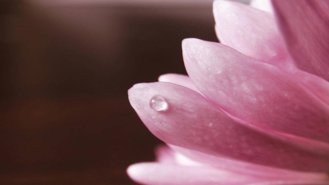 微信收付款怎么开通商家服务?_微信收付款怎么开通商家服务功能 - 微信相关 - 55dz账号网