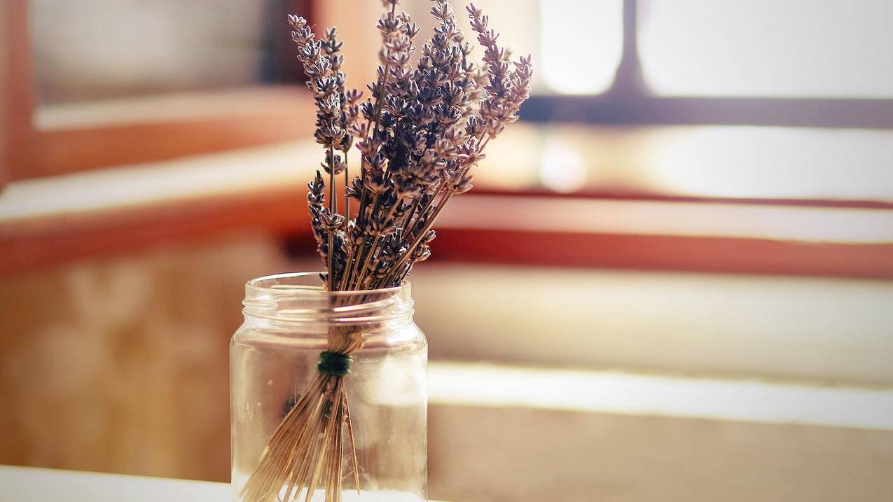 nikeairzoompegasus38好用吗_nikeairzoompegasus37shield - zoom相关 - 55dz账号网