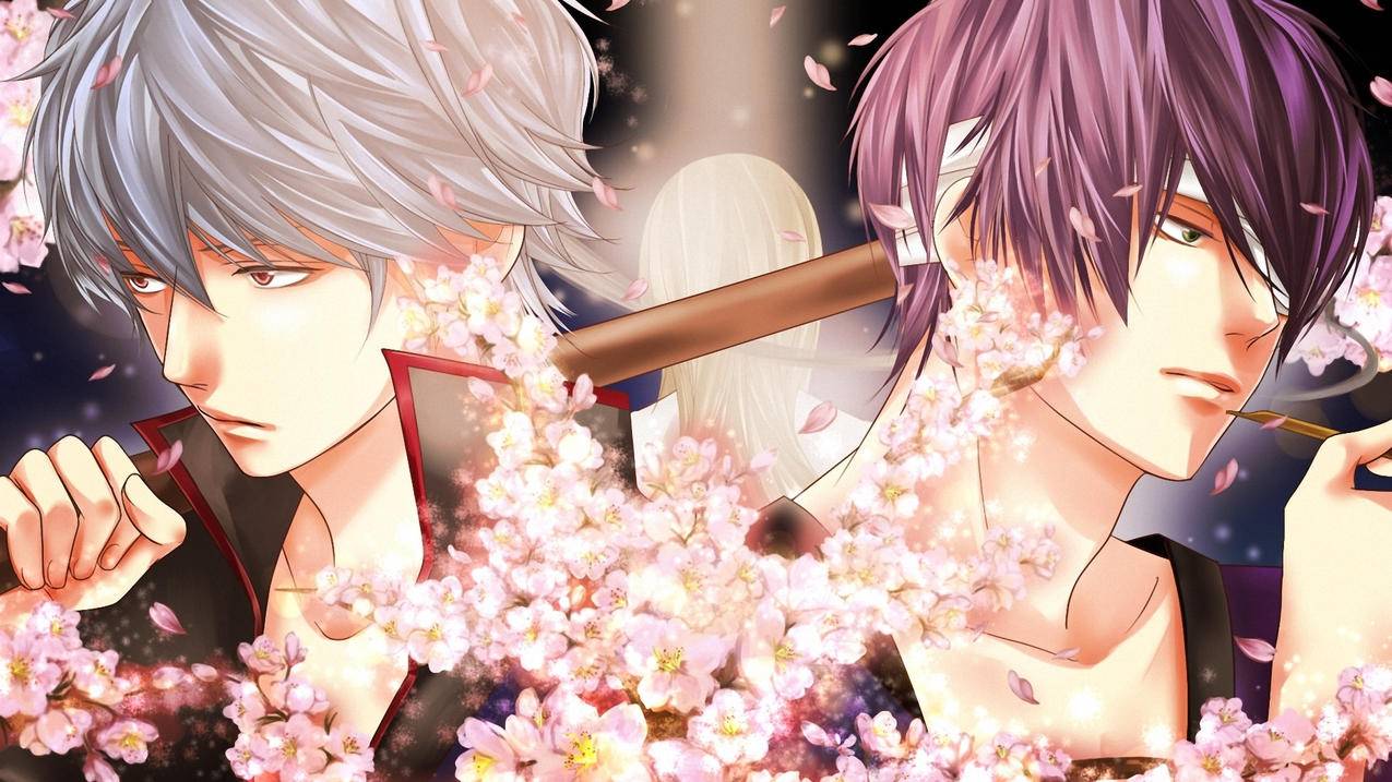 资源猫最新版下载地址链接_资源猫搜索 迅雷下载 - messenger相关 - 55dz账号网