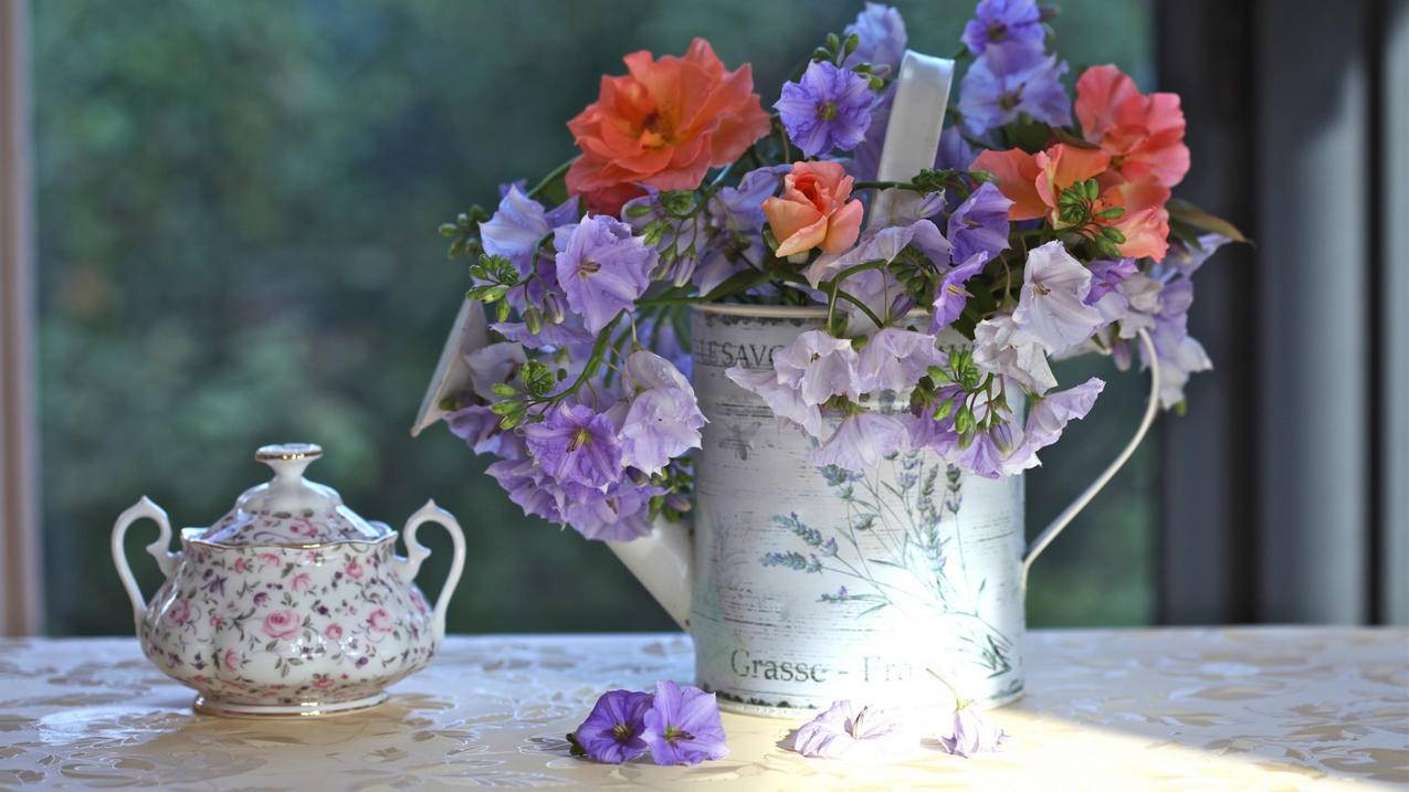 高中数学常见函数值域如何限定？ - 自助下单ks - ks24小时自助