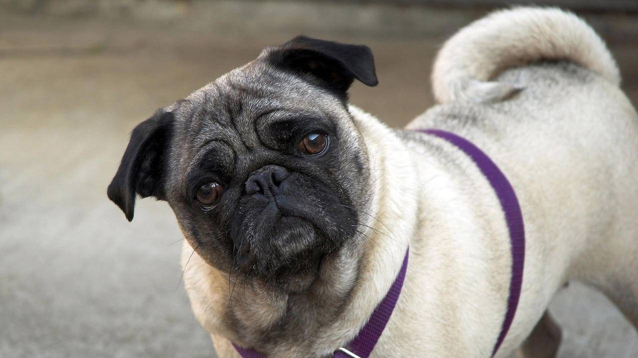 干海参如何保存小红书 - 自助平台 - dy业务网