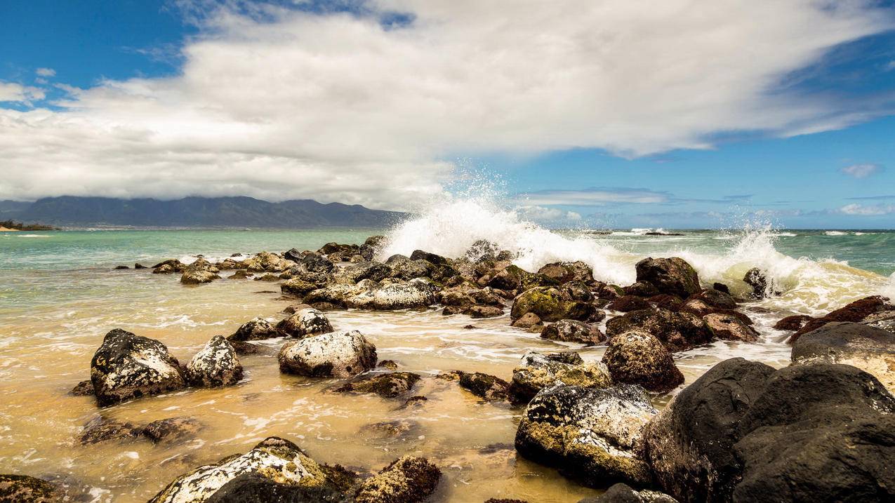 苹果xr的appleid密码忘记手机号也没有了_苹果xr密码忘了怎么办 没id - Apple ID相关 - 55dz账号网