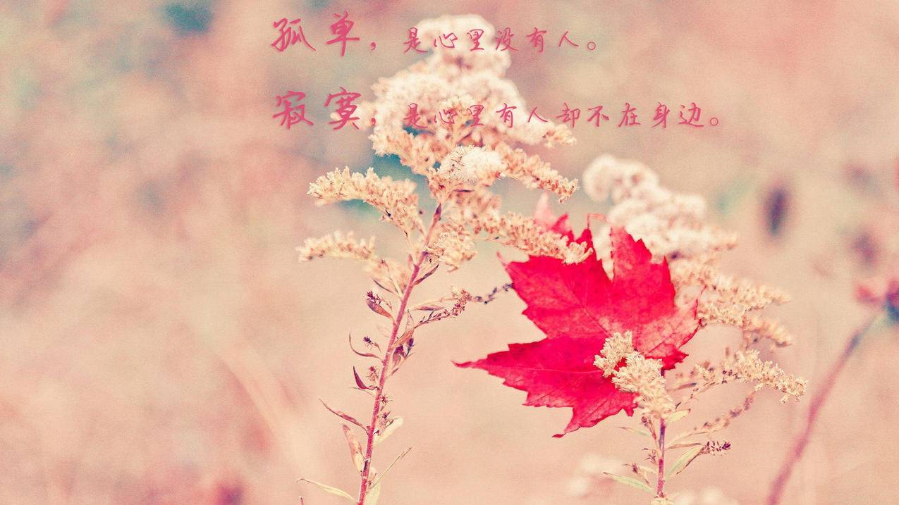 fifaonline4布兰科后腰_fifaonline4前腰 - Line相关 - 55dz账号网