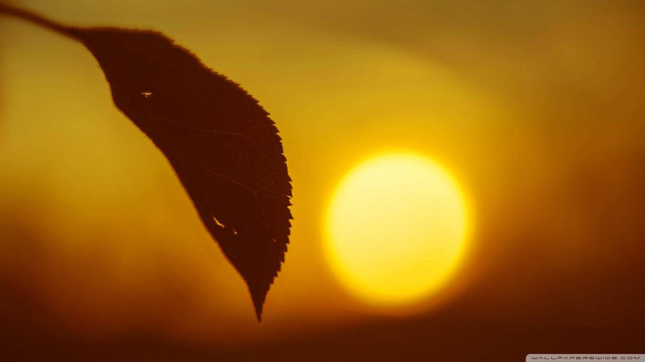 lol日服延迟一般多少_lol日服开加速器延迟多少 - 日本苹果ID - 55dz账号网