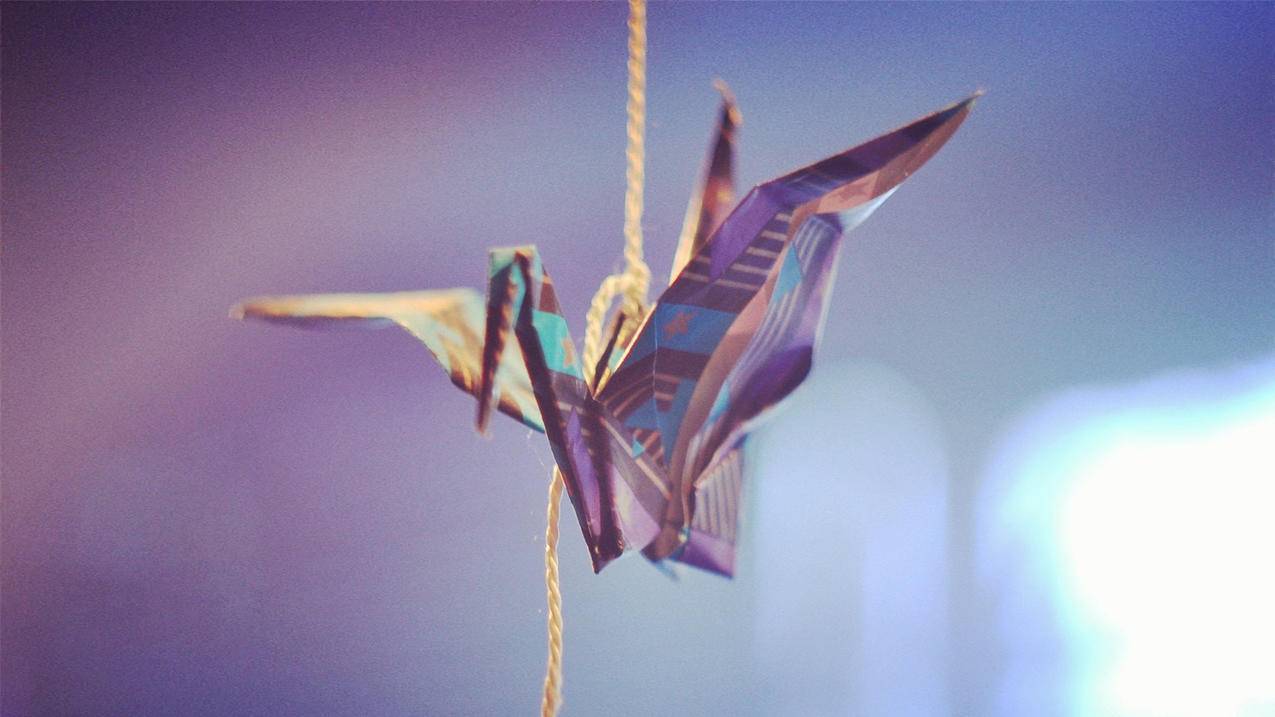 美区appleid充值后无法购买_美区id充值卡没法买app - Apple ID相关 - 55dz账号网